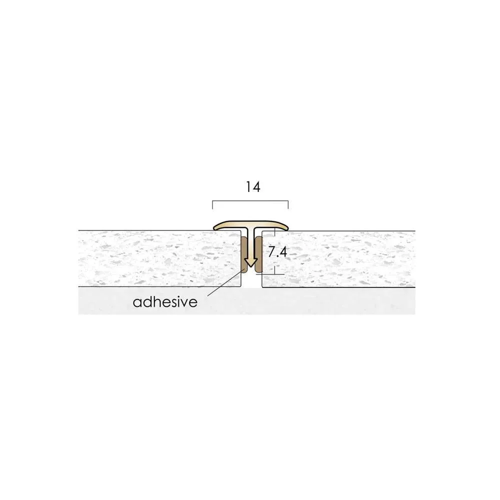 Feline T14 - Brass